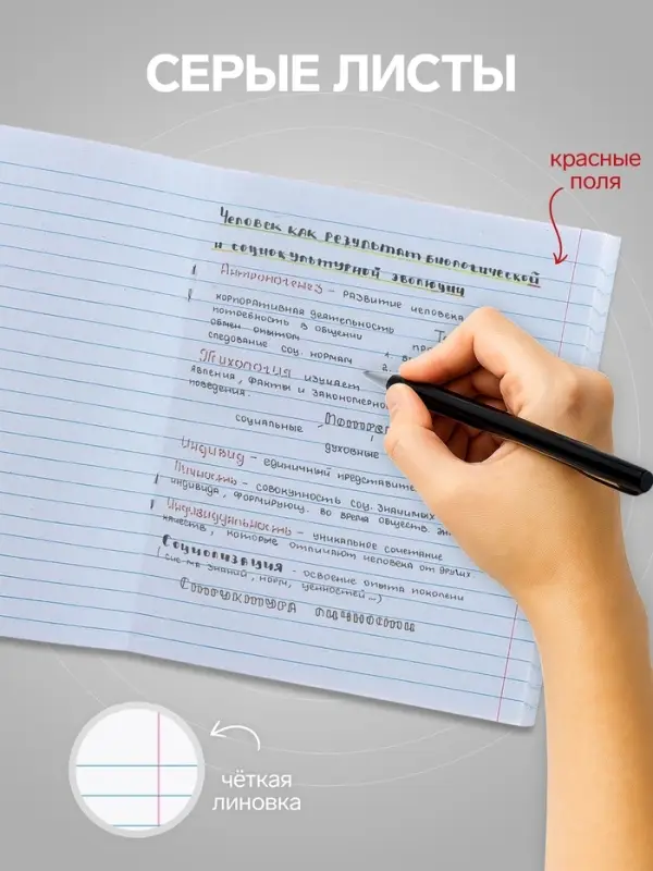 Тетрадь 96 листов в линейку Calligrata &laquo;Город&raquo;, серые листы, МИКС