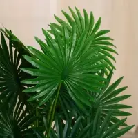 Дерево искусственное &laquo;Ливистона&raquo;, h=75 см