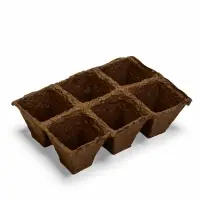 Набор для рассады: торфяная кассета, 12 ячеек по 50 мл, поддон _ × _ см, зелёный Набор для рассады: торфяная кассета, 12 ячеек по 50 мл, поддон _ × _ см, зелёный