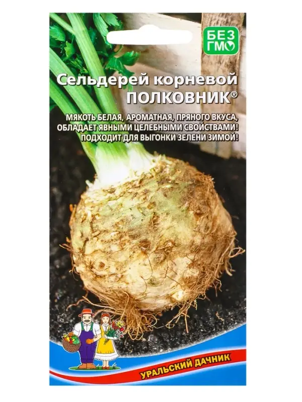 Семена Сельдерей Полковник - корневой (УД) Е/П , Е/П,  0,25 г.