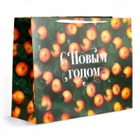 Пакет новогодний ламинированный подарочный &laquo;С Новым годом&raquo;, XXL 61&times;46&times;20 см