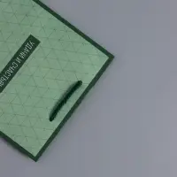 Пакет подарочный ламинированный &laquo;Минимализм в деталях&raquo;, травяной, 18&times;22.3&times;10 см