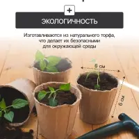 Набор для рассады: торфяной горшок 6×6 см, кассета на 6 ячеек, 17.5×13.5 см, Greengo