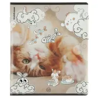 Тетрадь 48 листов в клетку ErichKrause Dream Cat, 60 г/м&sup2;, обложка мелованный картон, МИКС