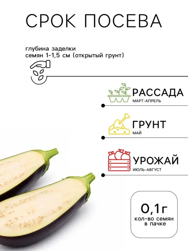 Семена Баклажан &laquo;Эфиоп&raquo;, 0.1 г, &laquo;Семена Алтая&raquo;