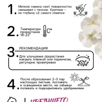 Семена Виола "Белый бархат", ц/п,  F1, 5 шт.