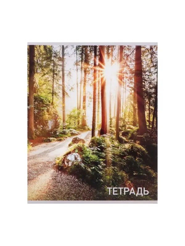 Набор тетрадей, 96 листов в клетку, Calligrata &laquo;Природа&raquo;, серые листы, 4 штуки