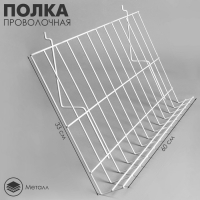Полка проволочная для экономпанелей, наклонная, 70 градусов, 60×33,4, цвет белый