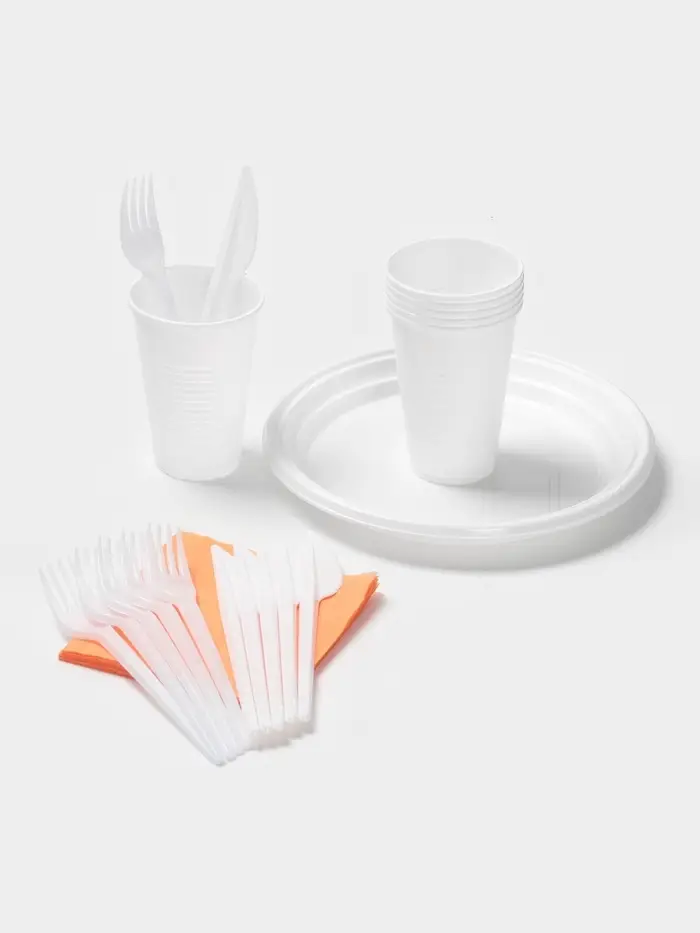 Набор одноразовой посуды Мистерия &laquo;Пикничок&raquo;, на 6 персон, пластик, МИКС