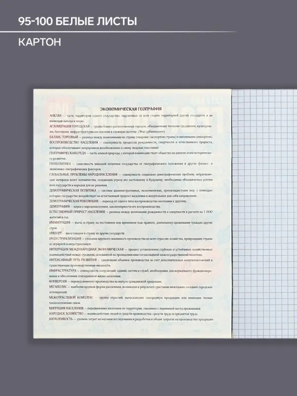 Тетрадь предметная 48 листов в клетку Calligrata &laquo;Журнал. География&raquo;, картонная обложка, серые листы