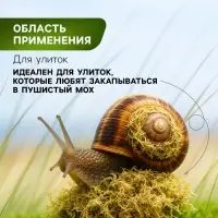 Мох сфагнум &laquo;Рецепты Дедушки Никиты&raquo; 10 л.