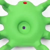 Игрушка пищащая для собак из латекса "Паук", 12х8 см