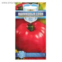 Семена Томат "Малиновый слон", среднеспелый 0,05 г
