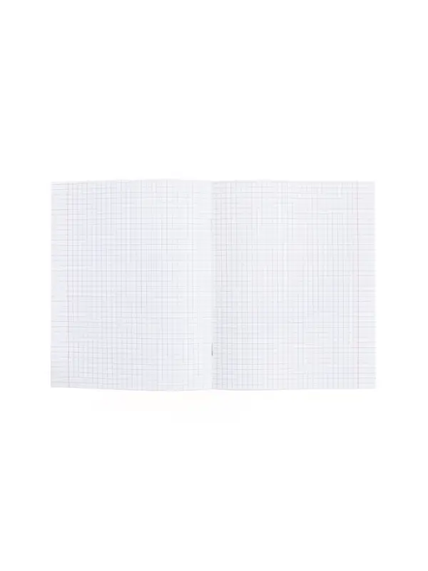 Тетрадь 48 листов в клетку &laquo;Буквица&raquo; Алгебра, белые листы