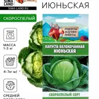 Семена Капуста белокочанная &laquo;Июньская&raquo;, 0.5 г, скороспелая, &laquo;Рецепты дедушки Никиты&raquo;