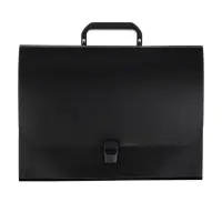 Папка-портфель А4, 12 отделений, 600 мкм, ErichKrause Matt Classic, до 350 листов, чёрная