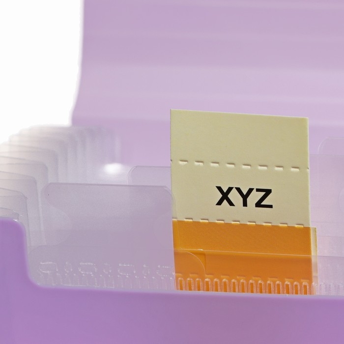 Папка на резинке А65, 12 отделений, узоры, фиолетовая пастель Папка на резинке А65, 12 отделений, узоры, фиолетовая пастель