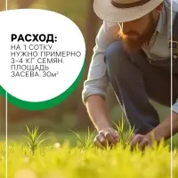 Семена Газонная травосмесь Быстрый газон", 1 кг