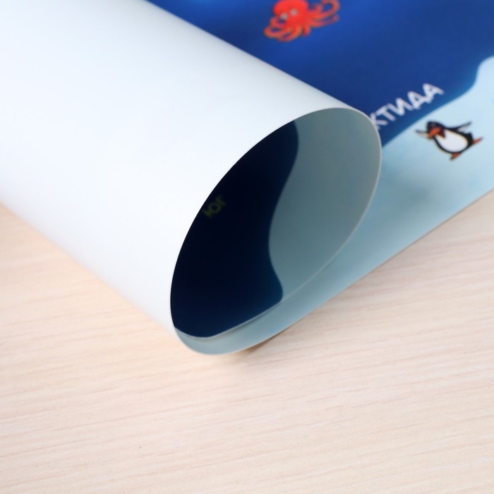 Накладка на стол пластиковая А3 (460 х 330 мм), Calligrata Накладка на стол пластиковая А3 (460 х 330 мм), Calligrata "Карта мира", 430 мкм, обучающая