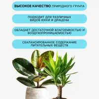 Грунт для всех видов декоративно-лиственных &laquo;Рецепты Дедушки Никиты&raquo;, 5 л