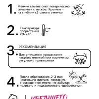 Семена цветов Пентас "Лаки стар" F1 Дак ред ланцетовидный, ц/п, 3 шт.