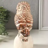 Фигурка гипс &laquo;Сова на камне&raquo;, 18&times;10 см, мультиколор