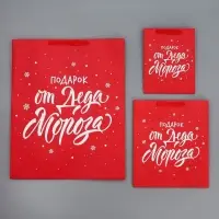 Набор новогодних пакетов «Новогодний подарок» Набор новогодних пакетов «Новогодний подарок»