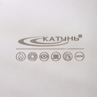 Котёл «Общепит», 30 л, d=35 см, h=35.5 см, капсульное дно, индукция