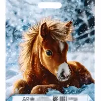 Пакет подарочный, новогодний &laquo;Ветерок&raquo;, полиэтиленовый с вырубной ручкой, л 40&times;31 см, 60 мкм