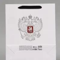 Пакет подарочный &laquo;Россия&raquo;, 25.5&times;30&times;9 см