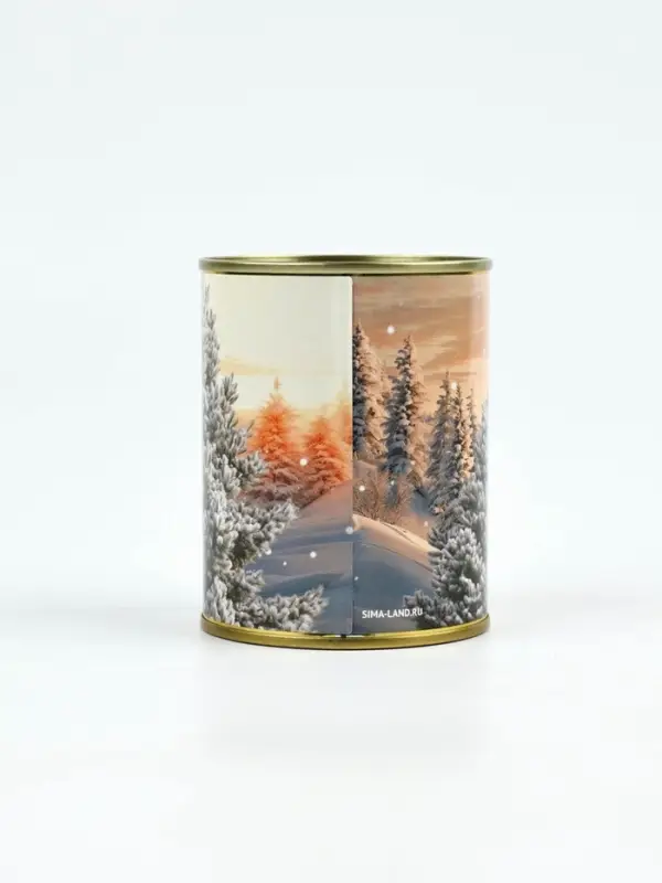 Копилка-банка металл «Зима подарит», 7.5×9.5 см