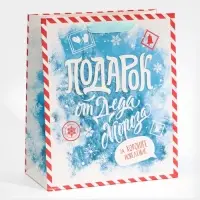 Пакет подарочный новогодний ламинированный &laquo;Подарок от Деда Мороза&raquo;, ML 23&times;27&times;11.5 см