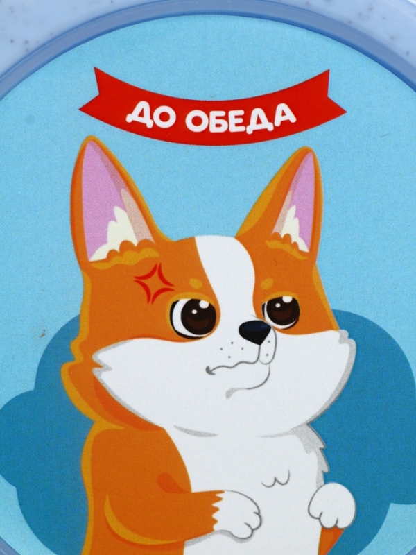 Ланч - бокс с 4 секциями «До/после обеда», 23 х 17 х 5,5 см, голубой