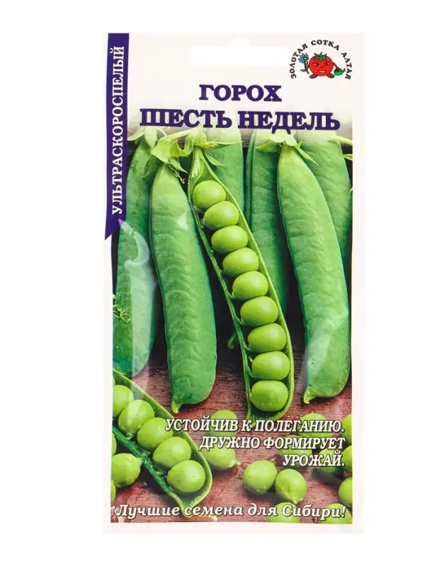 Семена Горох &laquo;Шесть недель&raquo;, 10 г, &laquo;Золотая Сотка Алтая&raquo;