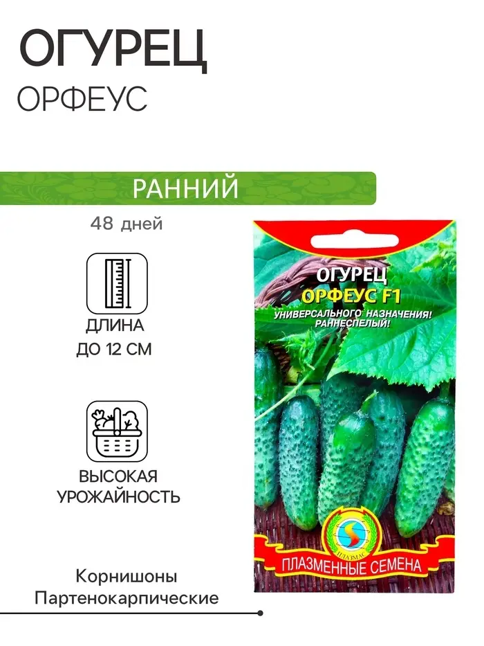 Семена Огурец "Орфеус", F1, 10 шт