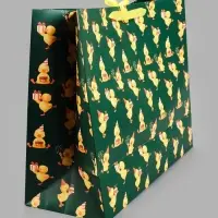 Пакет подарочный &laquo;Яркий&raquo;, XL, 49 х 40 х 19 см