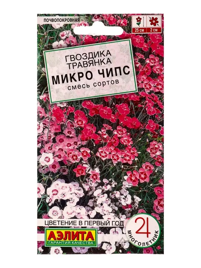 Семена цветов Гвоздика Микро чипс многолетняя, смесь сортов Мн Многолетники., Ц/П,0,05 г