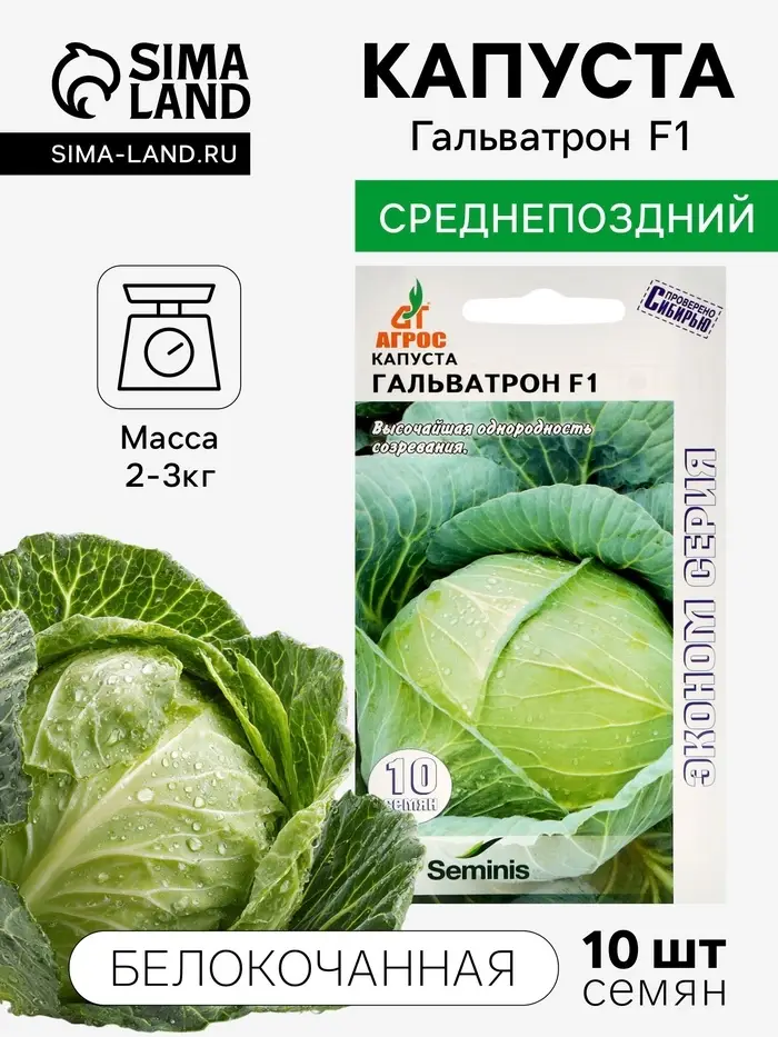 Семена Капуста белокочанная, &laquo;Гальватрон&raquo;, F1, 10 шт., Seminis, &laquo;Агрос&raquo;