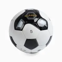 Футбольный мяч TORRES Classic, F123615, ручная сшивка, 32 панели, р. 5, PVC