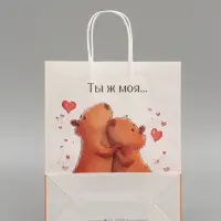 Пакет подарочный бумажный, &laquo;Моя Капибара&raquo;, 32&times;26&times;11 см