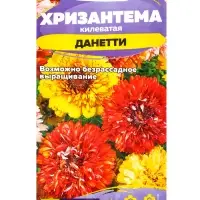 Семена Хризантема &laquo;Данетти&raquo;, 0.1 г, &laquo;Семена Алтая&raquo;
