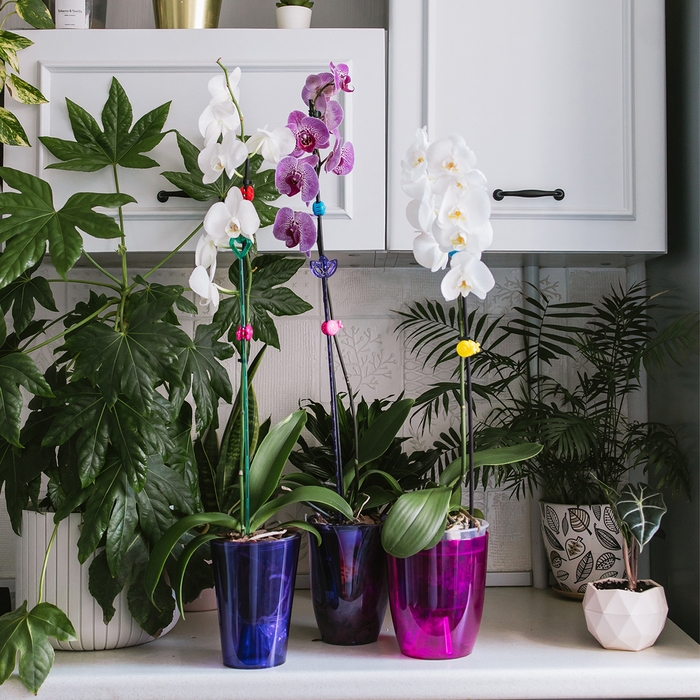 Горшок для орхидей, 1,5 л, 13 &times; 17 см, пластик, прозрачно-фиолетовый