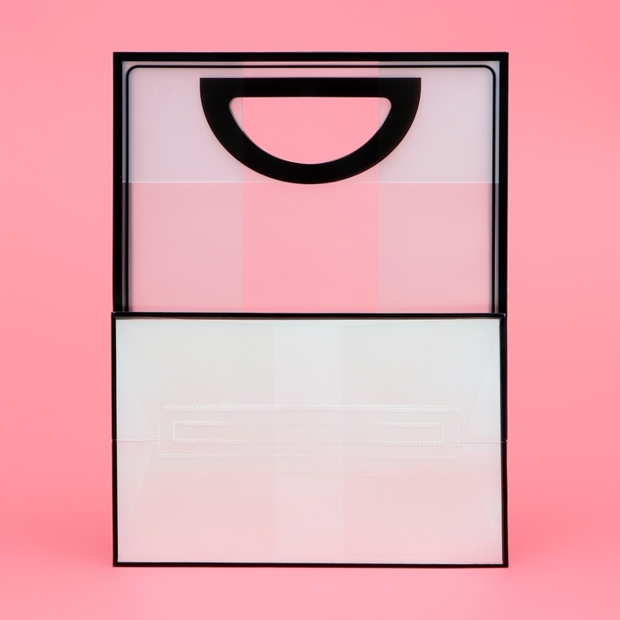 Пакет ПП с вырубной ручкой, прозрачный, 30 х 23 х 15 см, черный Пакет ПП с вырубной ручкой, прозрачный, 30 х 23 х 15 см, черный