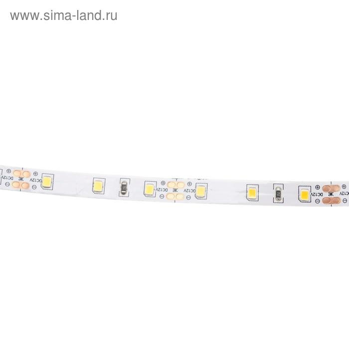 Светодиодная лента Ecola PRO 5 м, IP20, SMD5060, 60 LED/м, 11 Вт/м, 12 В, 2800К Светодиодная лента Ecola PRO 5 м, IP20, SMD5060, 60 LED/м, 11 Вт/м, 12 В, 2800К