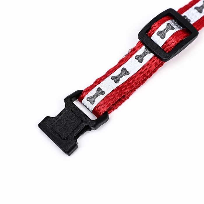 Ошейник светоотражающий с лапками 30 х 1 см, капрон, микс цветов Ошейник светоотражающий с лапками 30 х 1 см, капрон, микс цветов