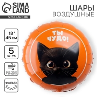 Воздушный шар фольгированный 18" "Котик. Ты чудо", круг, набор 5 шт.