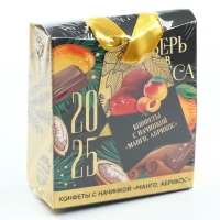 Подарочные конфеты «Верь в чудеса», с кусочками манго, 30 г. Подарочные конфеты «Верь в чудеса», с кусочками манго, 30 г.