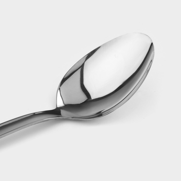 Ложка разливательная из нержавеющей стали Доляна Everyday, 38×7 см, толщина 3 мм, цвет серебряный Ложка разливательная из нержавеющей стали Доляна Everyday, 38×7 см, толщина 3 мм, цвет серебряный