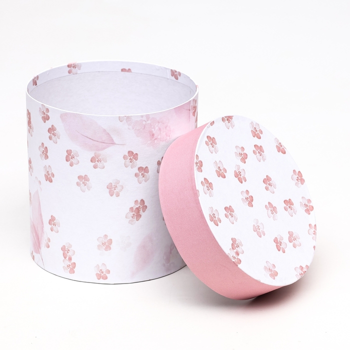 Набор шляпных коробок 5 в1  Набор шляпных коробок 5 в1 "Легкость", 20 х 20 - 15 х 15 см