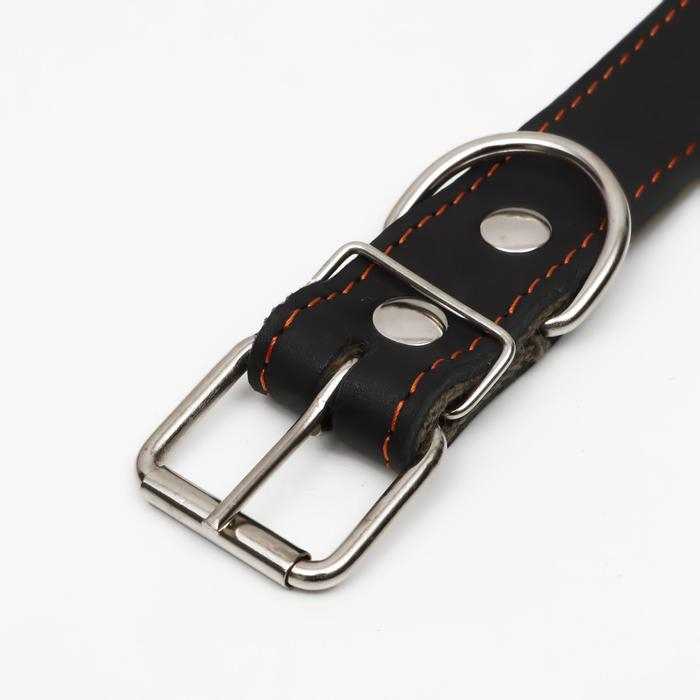 Ошейник комбинированный кожа/брезент Ошейник комбинированный кожа/брезент "Ёж", 70 х 3,5 см, ОШ 45-60 см, чёрный